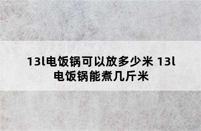 13l电饭锅可以放多少米 13l电饭锅能煮几斤米